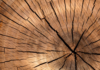 Handling the tough wood supply chain