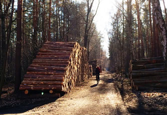 Wood supply integrated into ecosystem services