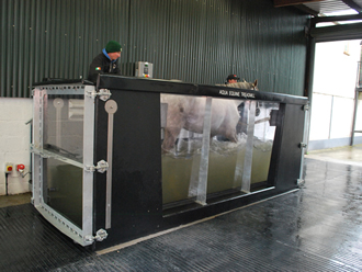 Racehorse underwater treadmill to help recovery time