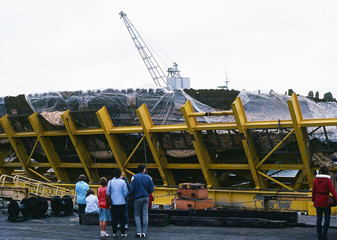 Barnshaw's trip down memory lane with the Mary Rose