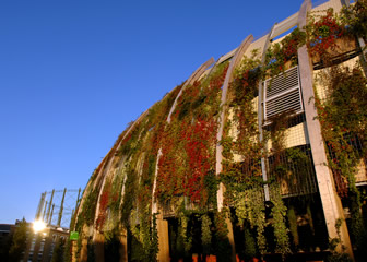 Oval stadium’s ‘living wall’ 