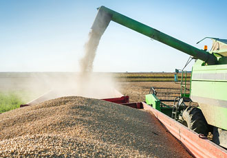 Its a tough life for trucks going with the grain