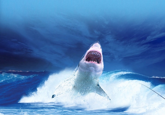 Shark teeth: Grinding wheel gets to work in minutes
