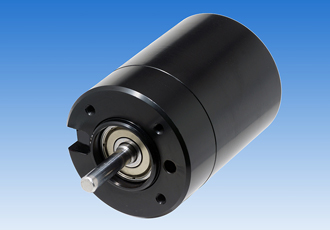 Brushless DC motor capable of handling high side loads