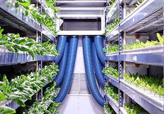 Designing the world’s largest vertical farm