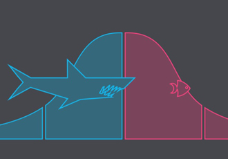 The electronic start-up’s shark fin dilemma