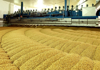 Smart condition monitoring increases malt barley productivity