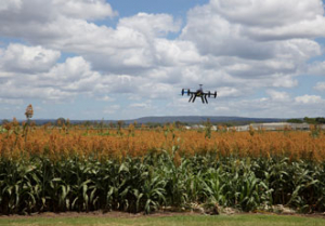 Agriculture 4.0: reaping the benefits of technology