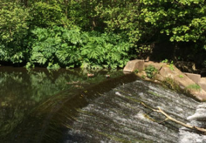 Project ‘reinvents the wheel’ with flat-pack hydro-energy solutions
