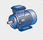 Flexible measurement of motor speed