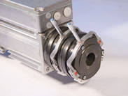 Compact geared motor with double brake