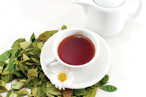 Thermo Fisher Scientific ITQ 700 GC-Ion Trap Mass Spectrometer Offers Enhanced Selectivity and Accuracy in Multi-Residue Pesticide Analysis in Green Tea