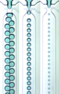 Dolomite Introduces New Range of Droplet Generation Systems Micro Droplet Systems enable fast and advanced droplet microfluidics