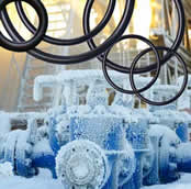 CHEMICAL RESISTANT KALREZ O-RINGS FOR TEMPERATURES DOWN TO -42°C
