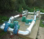 Supply and install success for Börger Pumps at Flag Fen